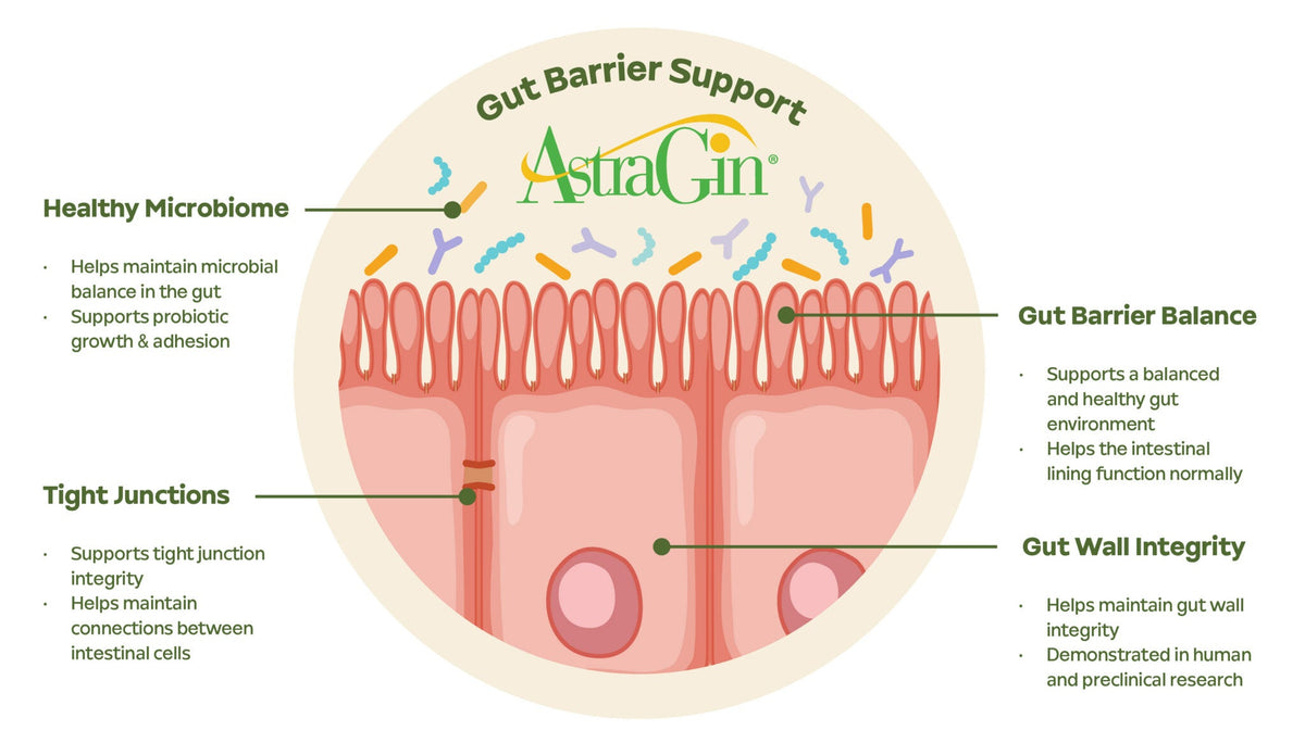 What is AstraGin? Benefits, science, and why it's in our creatine gummies
